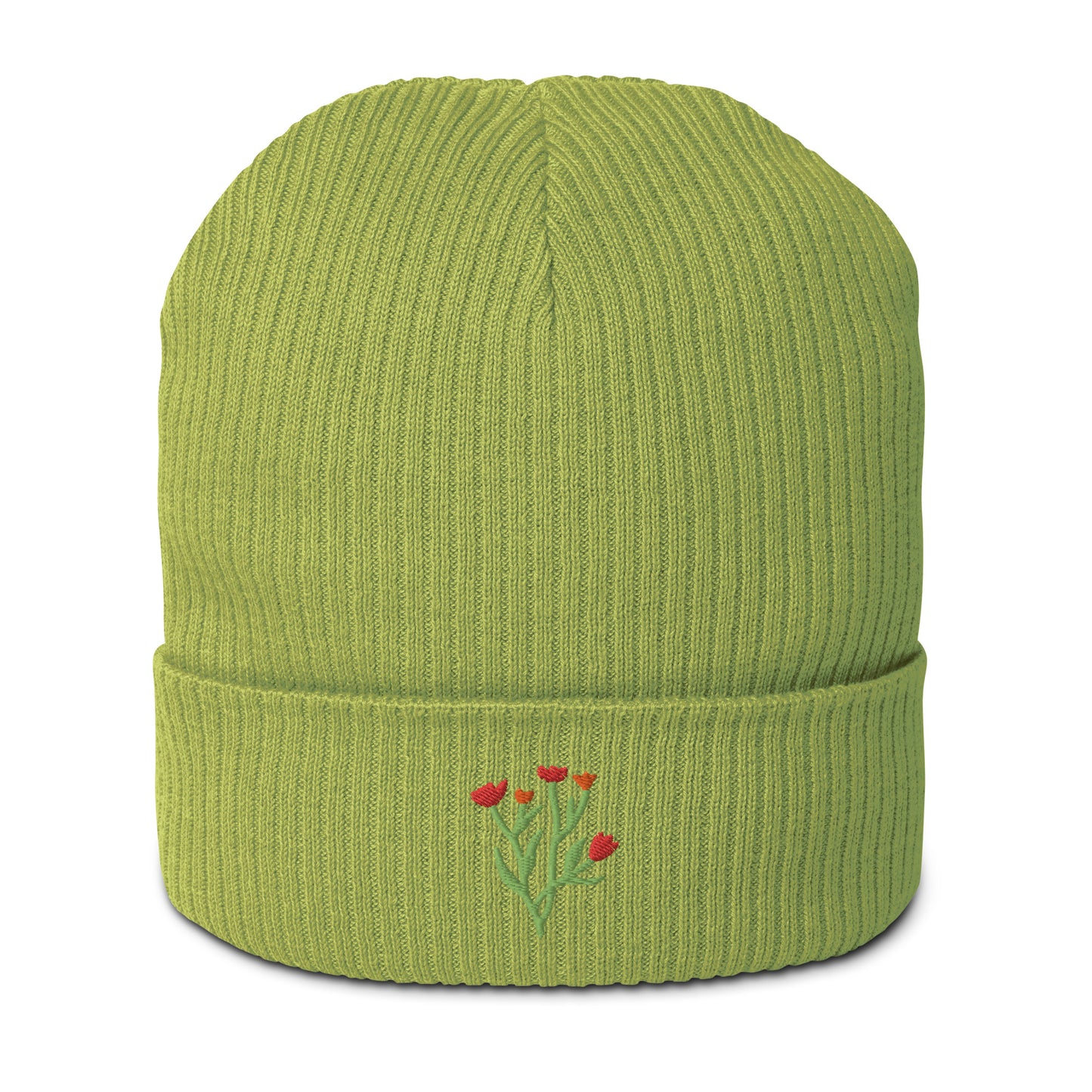 Organic ribbed beanie